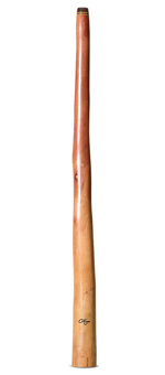 Tristan O'Meara Didgeridoo (TM514)